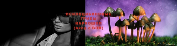 мескалин Майский