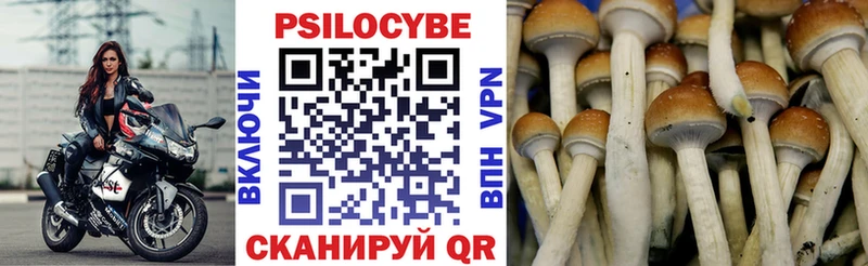 Галлюциногенные грибы ЛСД  Почеп 